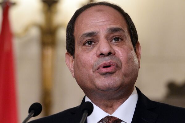الرئيس المصري عبد الفتاح السيسي الرئيس المصري عبد الفتاح السيسي - سبوتنيك عربي
