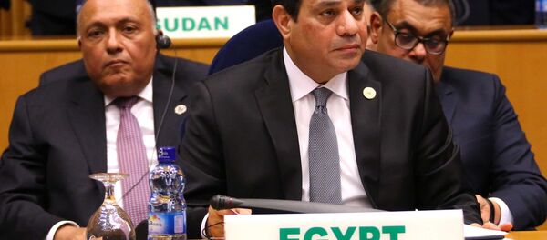 السيسي خلال المشاركة في اجتماع مجلس السلم والأمن التابع للاتحاد الإفريقي - سبوتنيك عربي