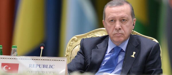 رجب طيب أردوغان - سبوتنيك عربي