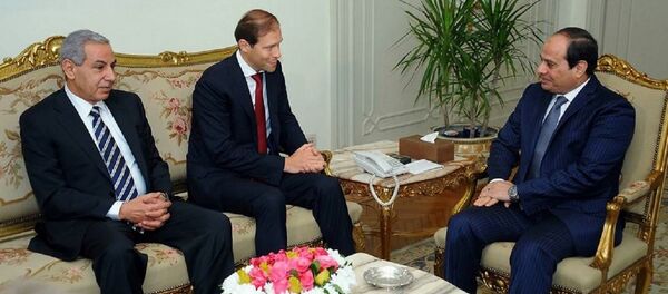 السيسي يستقبل وزير التجارة والصناعة الروسي السيسي يستقبل وزير التجارة والصناعة الروسي - سبوتنيك عربي