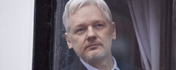 جوليان أسانج - سبوتنيك عربي