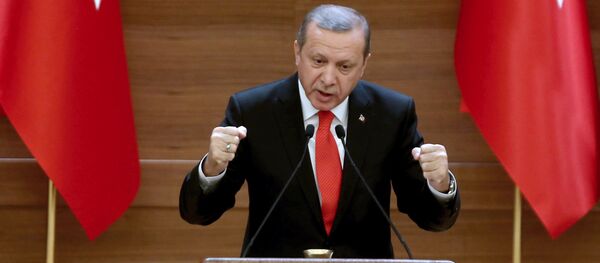 أردوغان أردوغان - سبوتنيك عربي