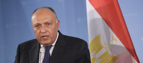 وزير الخارجية المصري، سامح شكري - سبوتنيك عربي