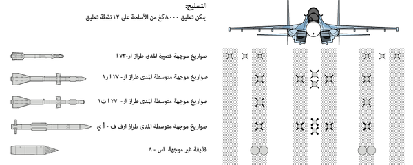 المقاتلة الثقيلة المقاتلة الثقيلة - سبوتنيك عربي