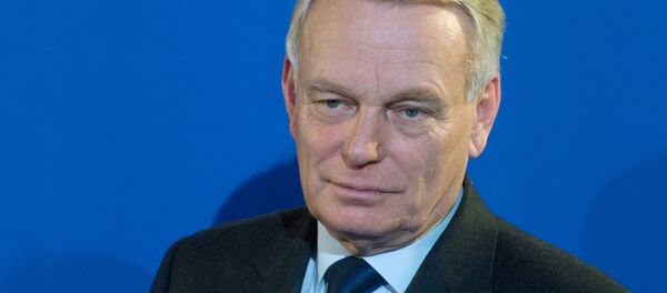 رئيس الوزراء الفرنسي السابق جان مارك ايرو - سبوتنيك عربي