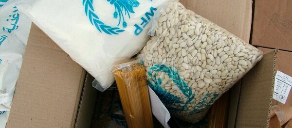 مساعدات من الحليف الروسي إلى مطار حميمم في اللاذقية - سبوتنيك عربي