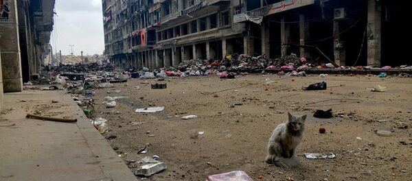 حلب السورية حلب السورية - سبوتنيك عربي