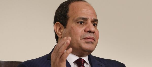 الرئيس المصري عبدالفتاح السيسي - سبوتنيك عربي