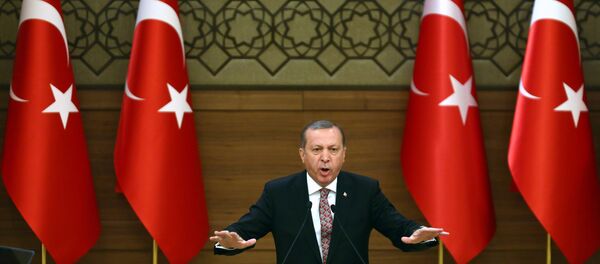 رجب طيب أردوغان - سبوتنيك عربي