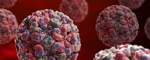 فيروس نورو - سبوتنيك عربي