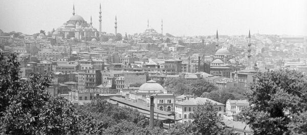 استانبول - سبوتنيك عربي