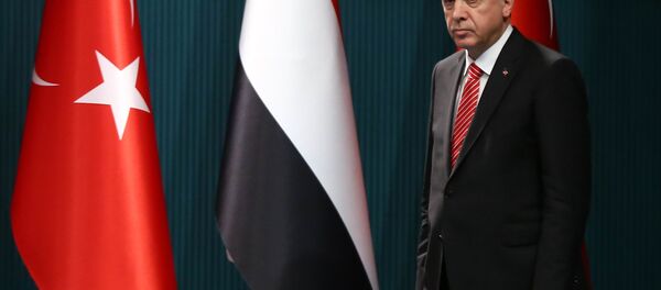 الرئيس التركي رجب طيب أردوغان - سبوتنيك عربي