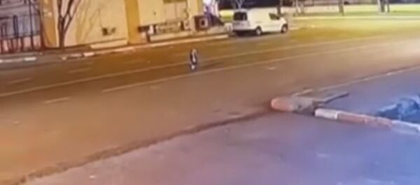 مخلوق غريب يظهر فى تركيا - سبوتنيك عربي