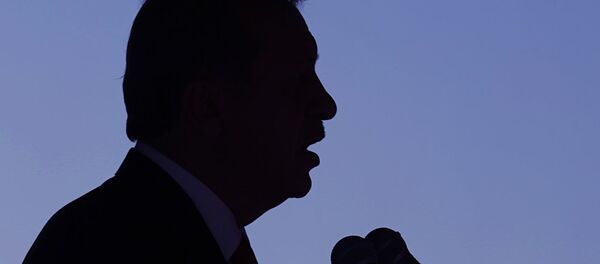 الرئيس التركي رجب طيب أردوغان - سبوتنيك عربي