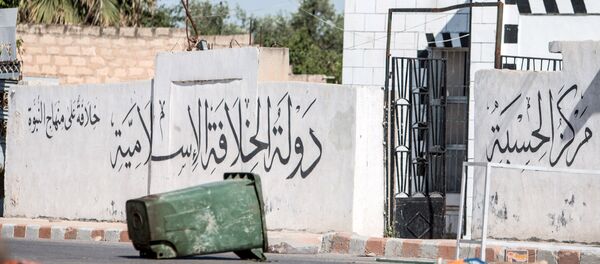 سوريا - سبوتنيك عربي