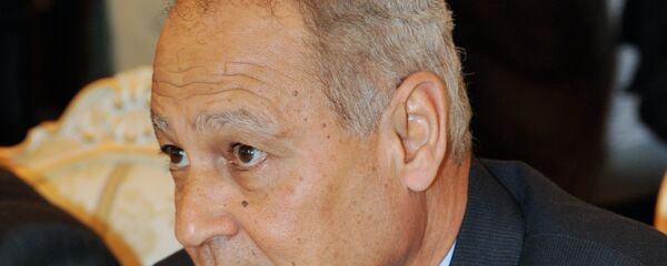 وزير الخارجية المصري الأسبق أحمد أبو الغيط - سبوتنيك عربي