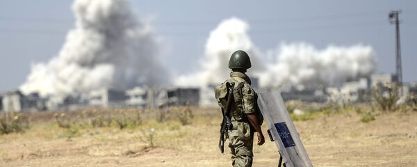جندي تركي على الحدود السورية التركية - سبوتنيك عربي