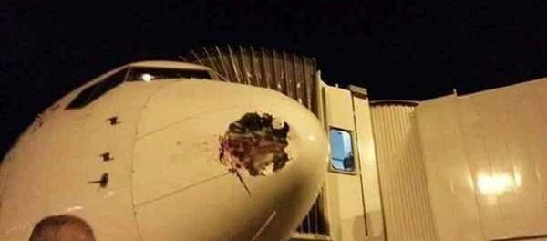 طائرة مصر للطيران - سبوتنيك عربي