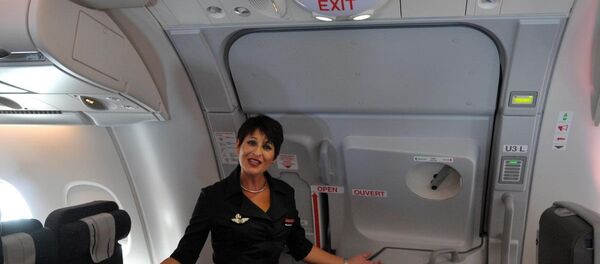 باب الطائرة - سبوتنيك عربي