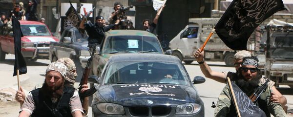 جبهة النصرة - سبوتنيك عربي