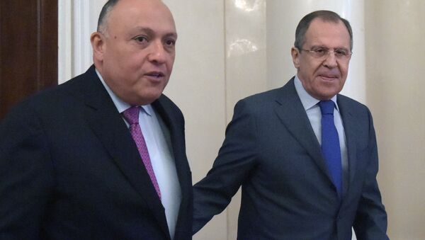 لقاء وزيري خارجية روسيا ومصر - سبوتنيك عربي