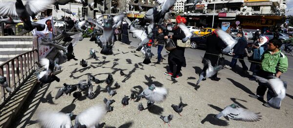 دمشق - سوريا - سبوتنيك عربي