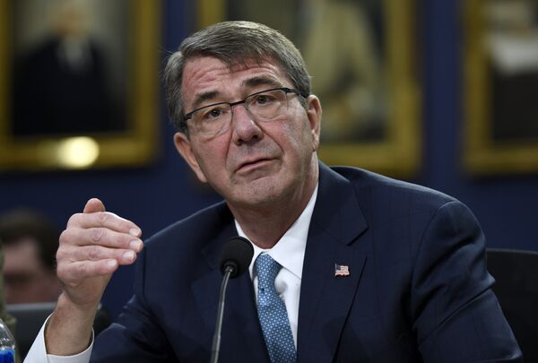  وزير الدفاع الأمريكي إشتون كارتر - سبوتنيك عربي