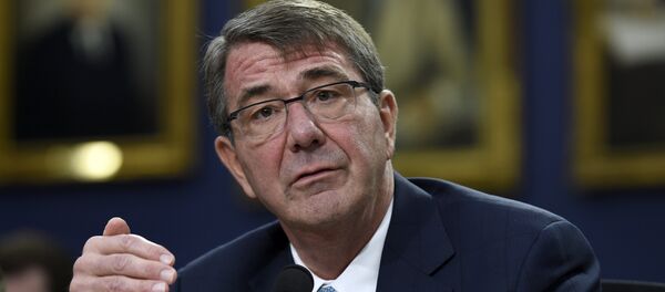 وزير الدفاع الأمريكي إشتون كارتر - سبوتنيك عربي