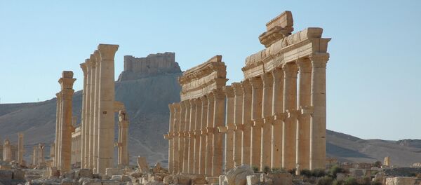 قلعة تدمر الأثرية - سبوتنيك عربي