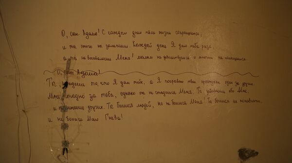 اللغة الروسية منتشرة بين عناصر داعش اللغة الروسية منتشرة بين عناصر داعش - سبوتنيك عربي