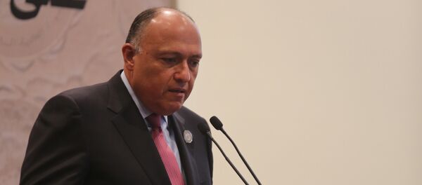 وزير الخارجية المصري سماح شكري - سبوتنيك عربي