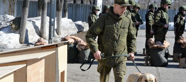 تحضيرات الفريق الروسي لإزالة الألغام المتوجه إلى تدمر، سوريا. تحضيرات الفريق الروسي لإزالة الألغام المتوجه إلى تدمر، سوريا. - سبوتنيك عربي
