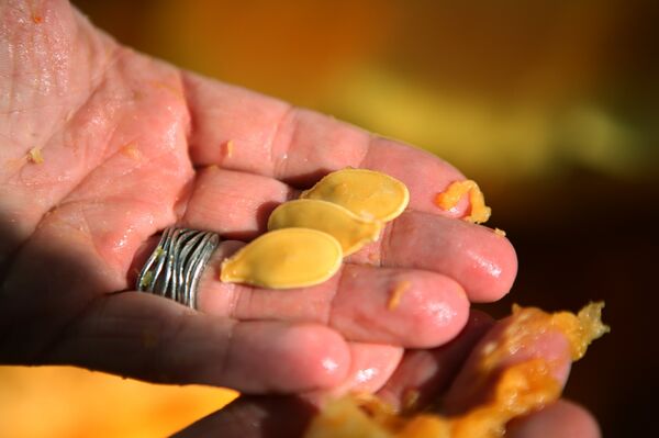 بذور اليقطين - سبوتنيك عربي