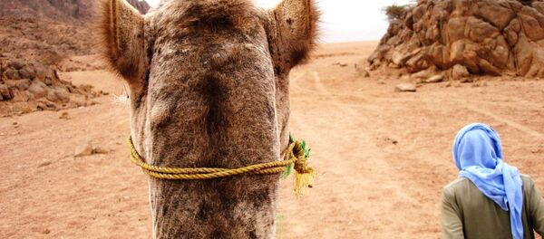 الصحراء الصحراء - سبوتنيك عربي