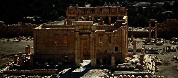 تدمر - سبوتنيك عربي