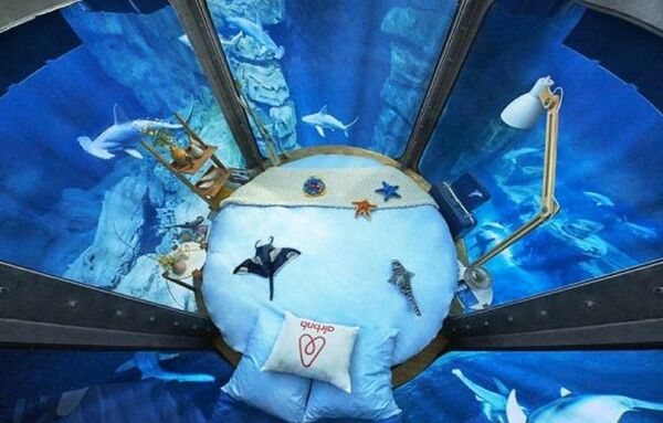 أستمتع بقضاء ليلة مع أسماك القرش - سبوتنيك عربي