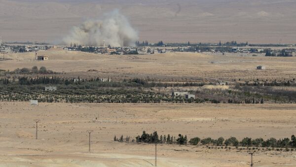 مدينة القريتين السورية مدينة القريتين السورية - سبوتنيك عربي