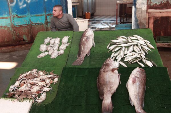 سوق السمك بغزة - سبوتنيك عربي