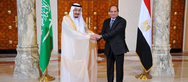 سلمان والسيسي - سبوتنيك عربي