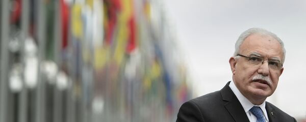 وزير الخارجية الفلسطينية رياض المالكي - سبوتنيك عربي