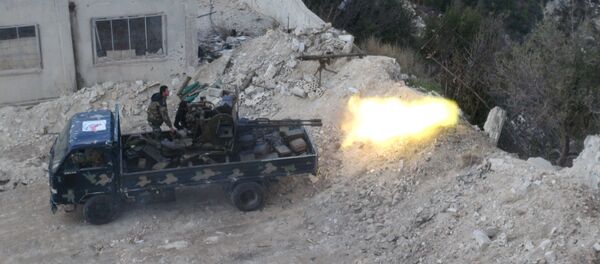 سوريا - سبوتنيك عربي