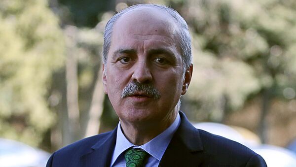 نائب رئيس الوزراء التركي نعمان كورتولموش - سبوتنيك عربي