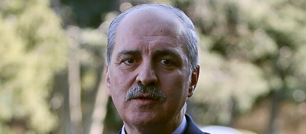 نائب رئيس الوزراء التركي نعمان كورتولموش - سبوتنيك عربي