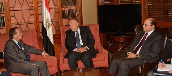 سامح شكري - سبوتنيك عربي