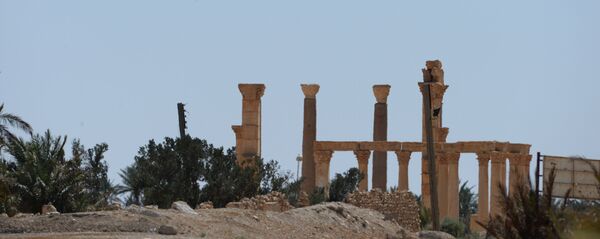 تدمر تدمر - سبوتنيك عربي