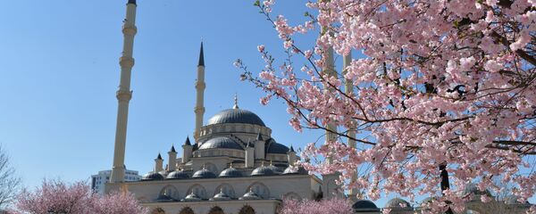 مسجد قلب الشيشان - سبوتنيك عربي