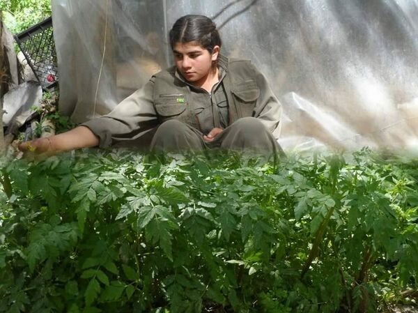 الفتاة الايزيدية بيريفان سعيد الفتاة الايزيدية بيريفان سعيد - سبوتنيك عربي