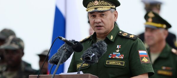 سيرغي شويغو - سبوتنيك عربي