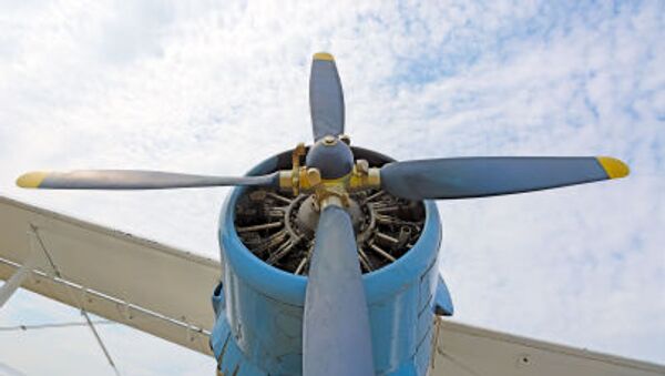 طائرة أن-2 طائرة أن-2 - سبوتنيك عربي