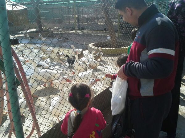الأطفال في حديقة حيوان دمشق - سبوتنيك عربي